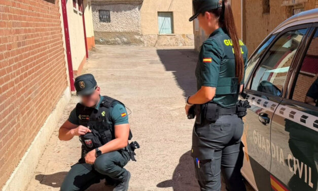 Cinco menores implicados en la muerte de un gato en Villalpando